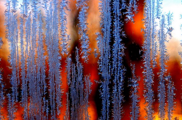 Fire and Ice - Macro on Glass